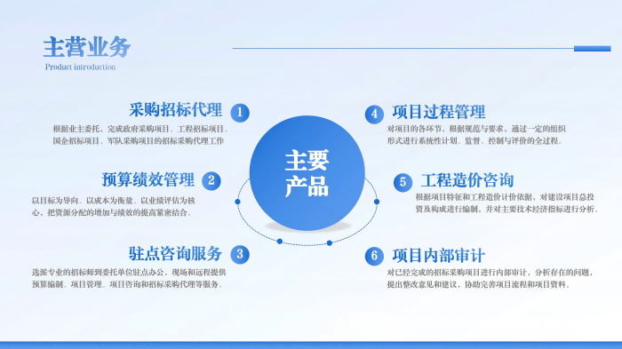主营业务